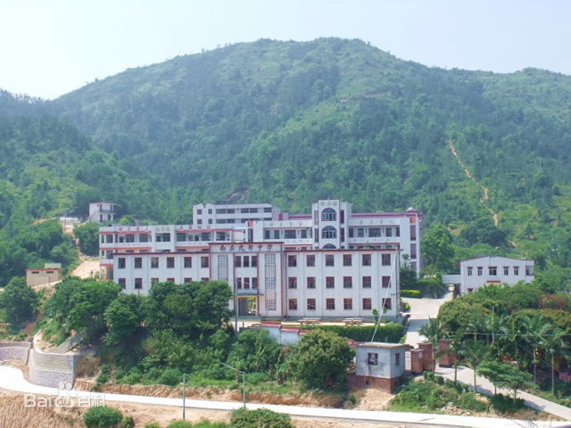 宁德九都中学简介