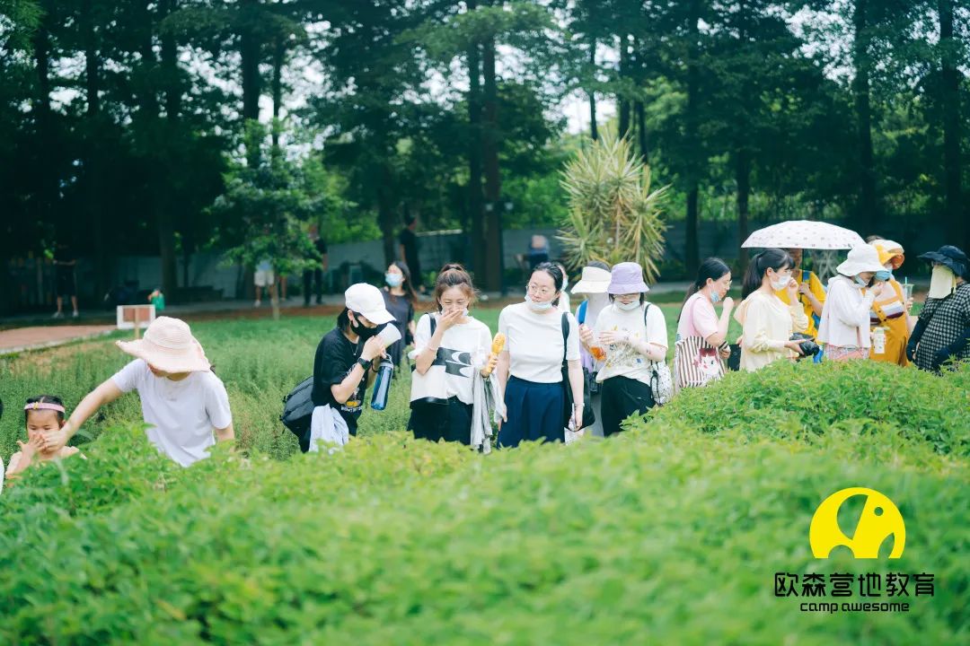 游于自然 归于心趣——厦门市集美区特殊教育学校工会活动小记