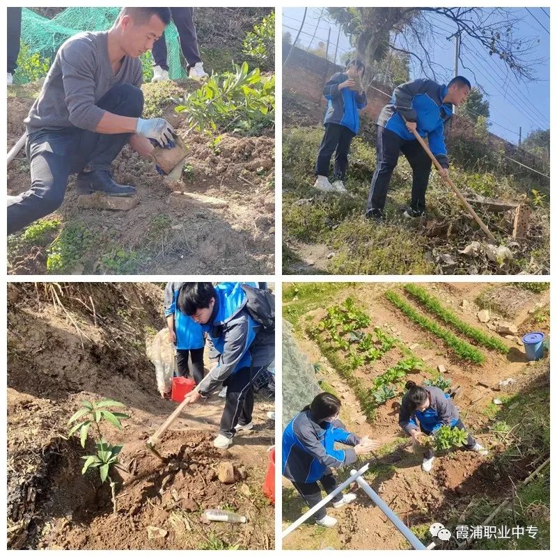 霞浦职业中专学校：“义务植树 美丽中国”—霞浦职专党建带团建主题活动