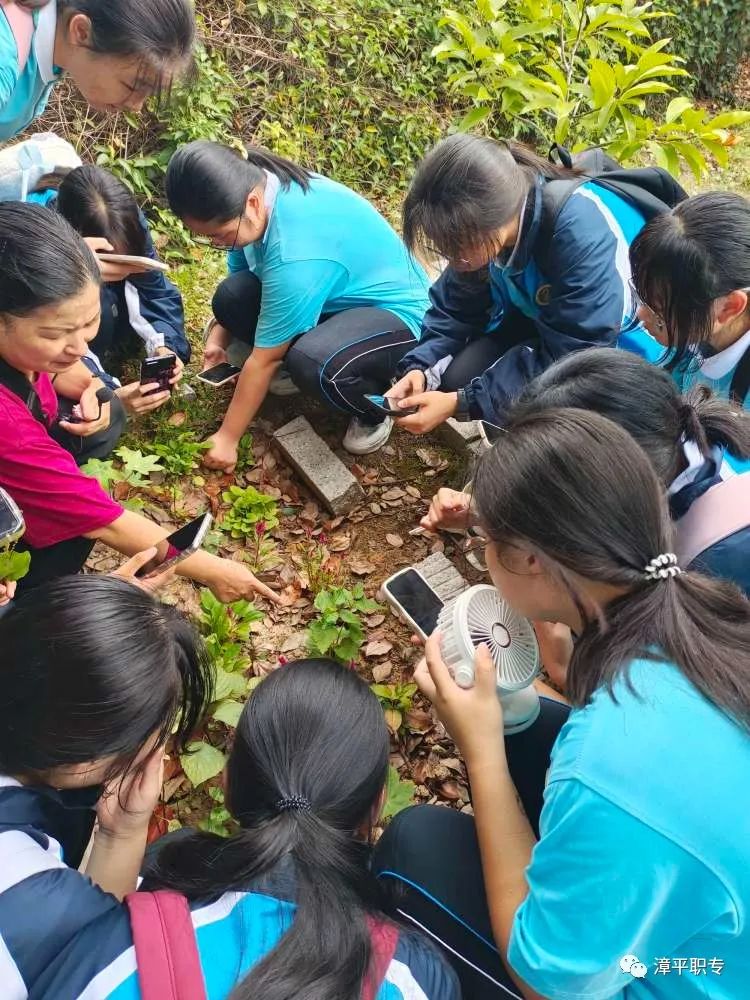 漳平职业中专学校：弘扬中医文化，传承囯药精粹 一 我校2022级药物制剂技术（五年专）学生开展辨识丶采集中草药实践教学活动