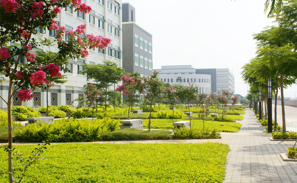 福建省鹭岛职业技术学校