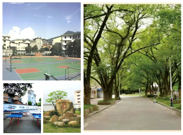 2026年福安市民族职业中学招生简章