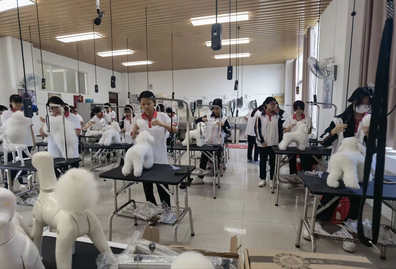 永安职业中专学校2026年招生简章