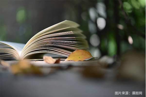 福州高职分类480分能上什么学校?